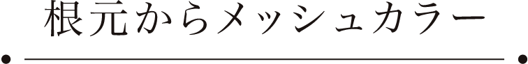 根元からメッシュカラー
