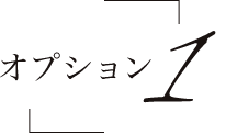 オプション1