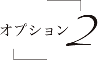 オプション2