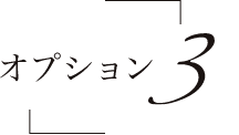 オプション3